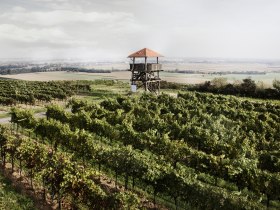 Aussichtsturm am Gobelsberg, © Ursin Haus