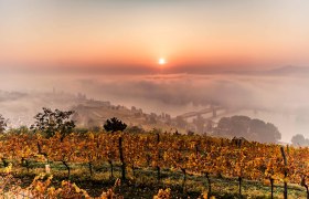 Oberhalb von Krems im Herbst, © Robert Herbst