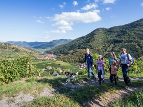 Am Panoramaweg im Spitzer Graben, © Lachlan Blair