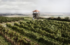 Aussichtsturm am Gobelsberg, © Ursin Haus