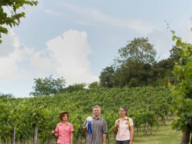 Pilgern durch die Weingärten, © Weinviertel Tourismus / Lahofer