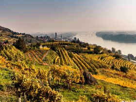 Herbstlandschaft rund um Krems, © Robert Herbst